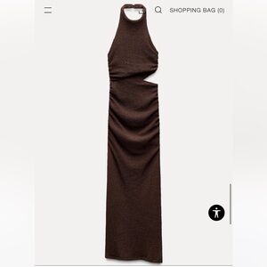 Zara Brown Maxi Dress